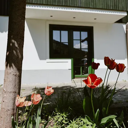 Family House Holiday home *